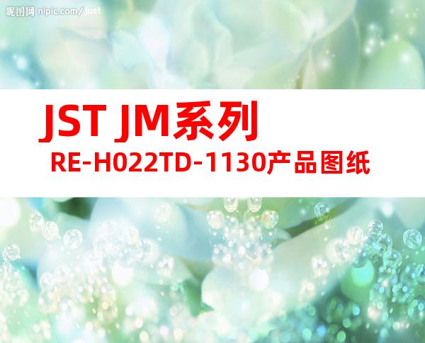 JST JM系列 RE-H022TD-1130产品图纸